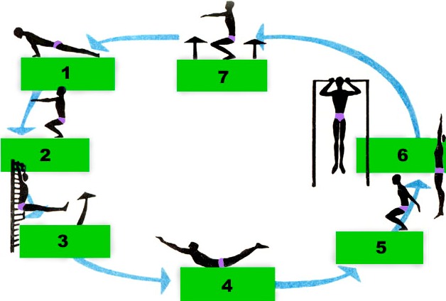 Реферат: Воспитание физических качеств методом круговой тренировки 2